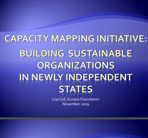 Capacity Mapping Initiative Diagnostic Approach pic